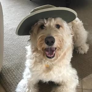 Meet your Posher, Aimée